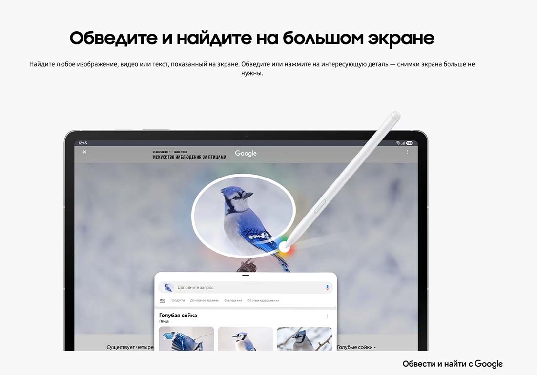 galaxy-tab-s10-fe в Краснодаре galaxy-tab-s10-fe