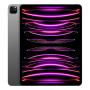 Apple iPad Pro 12,9" (M2, 2022, 6 gen) Wi-Fi + Cellular 512Gb Space Gray, «серый космос»